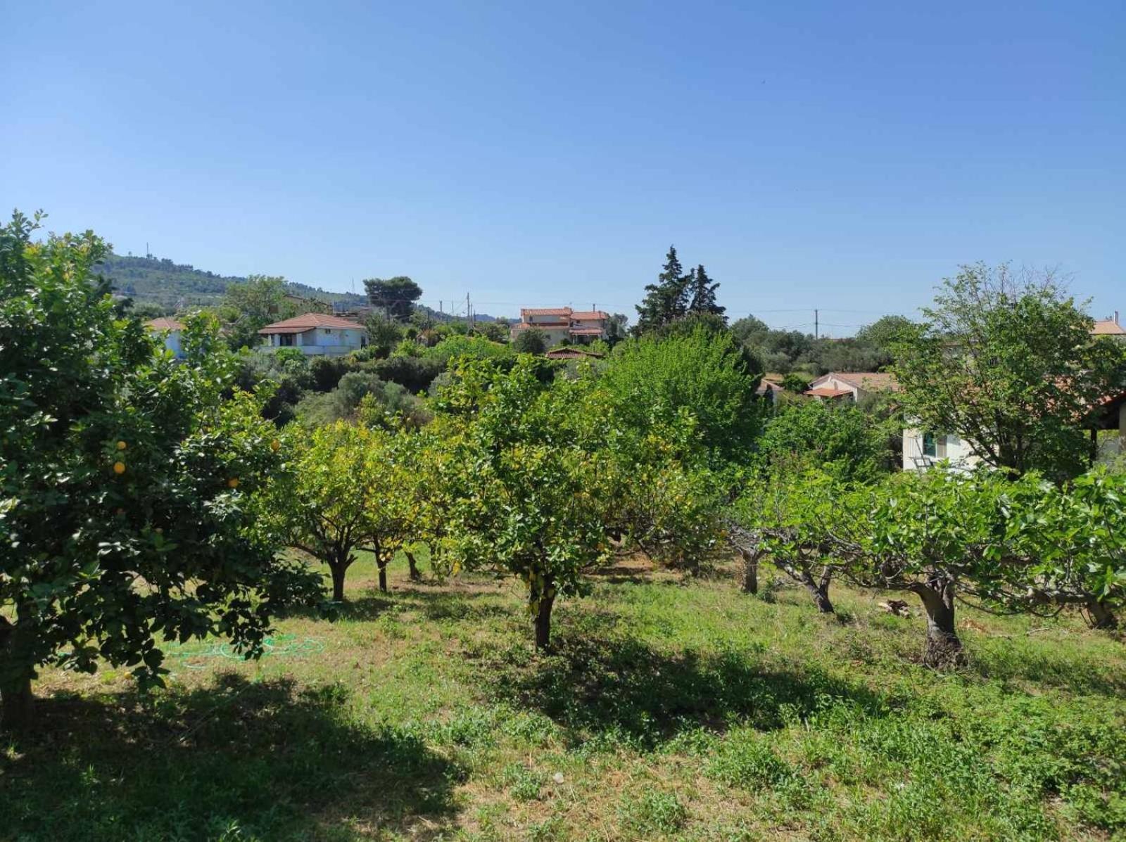 Appartement άρωμα φύσης *